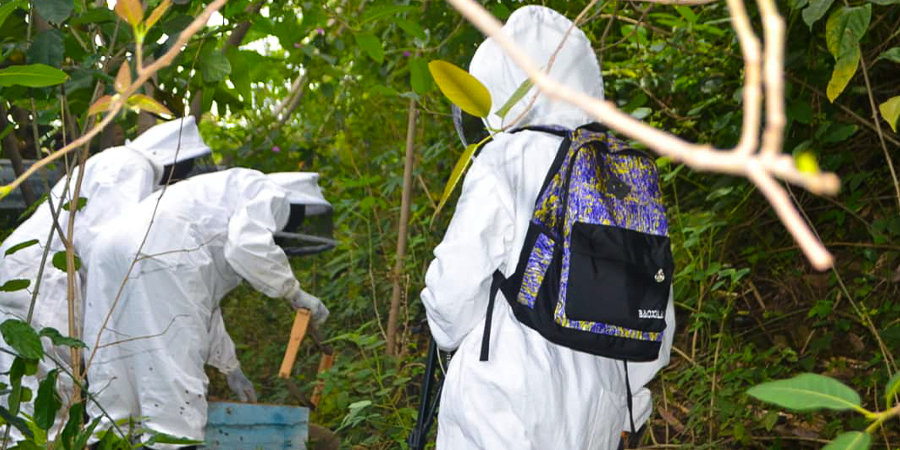 Kinunuwonders beekeeping